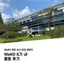 [대외활동] KOICA 코이카 한국국제협력단 WeKO 6기 개인 기획 미션 | WeKO 6기 활동 후기