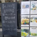 콜미레이첼 이미지