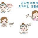 건성(주) 이미지