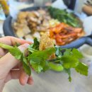 좋은인연 | 양산 원동 미나리삼겹살 9번 좋은인연 내돈내산 솔직후기