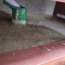 매자리길 이미지