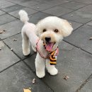 멍미 대구대곡역점 이미지