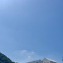 느티나무가든 | [양산카페] 드넓은 정원이 있는 양산 동면 대형베이커리카페, 느티나무의 사랑