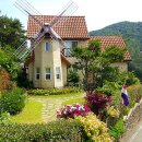 남해편백자연휴양림(남해) 이미지