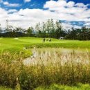 더반골프클럽 이미지