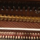 영창베아링 이미지