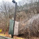 제천 포레스트 리솜 S30 빌라클린/체크인/해브나인 스파/부대시설 방문후기