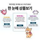 제주와투어 네이버블로그