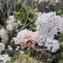 성자골2 이미지