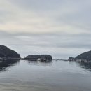 바다위통나무펜션씨그리메 이미지