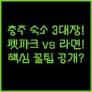 휴드라이브인텔 | 충주 여행 맞춤 숙소 3대장 펫파크 라면 조식 드라이브인텔 꼼꼼 비교