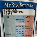 강남스포츠문화센터 | [알기 쉽게 정리한 강남스포츠문화센터/ 다양한 프로그램, 수영장 안내 및 신청 방법(주차 포함)]