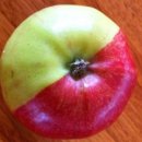 평생 빨간사과만먹고삶 vs 초록사과만먹고삶 vs 둘다포기못함 이미지