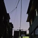 성모맑은의원 이미지