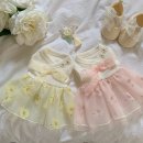 원스독 | 강아지 한복 추석옷 애견한복 추천- 클로젯독 구매후기