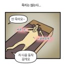 위드학원 | 필라테스 학원을 잘 다니는 내돈내산 후기 (평택 위드필라테스)