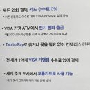 사파동170 이미지