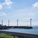 신창 그리고 제주 이미지