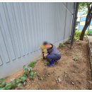 남동120 | 남동구 만수동 하수구 냄새 제거 아파트 하수도 악취 원인 찾아 해결하는 전문 업체