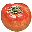 홍시한의원 이미지