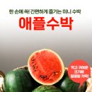 과일 위탁판매로 재고 없이 월 500 만드는 법 – 사과 한 품목으로 시작하는 초보 셀러 실전 가이드