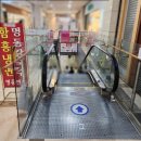 서울식당 - 안양시 만안구 안양동 | 공덕 맛집 우수 서울 다이닝 룸식당 방문 찐 후기