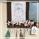 일월농장 | 제주도 체험 놀거리 추천 | 감귤 따기 시즌종료 시기, 한라봉 따기 체험농장 '나무와열매'