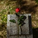 웰다잉과 연명의료 이미지