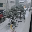 수원-0210 이미지