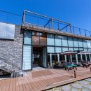 하쿠나마타타 민박 이미지