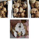 다대농장 이미지