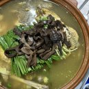 온천삼계탕 | 울진 덕구온천 근처 맛집 북면 백송삼계탕 백숙