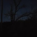 상장1리 마을회관 이미지