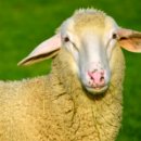 관저2동주민센터 이미지