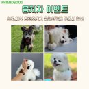 프랜즈유치원 이미지