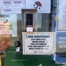 놀러오개 불로점 | 대구애견미용 비숑미용 후기 놀러오개 불로점