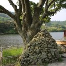 와룡마을 이미지