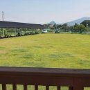 강화애견훈련학교 이미지