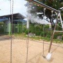 신녕초교병설유치원 이미지