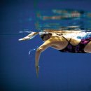 하이캐치 이미지