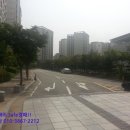 분당-393 이미지