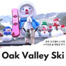 오크밸리 스키장 스키강습 후기 렌탈샵 TAYO