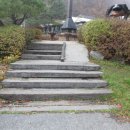 이다의숲 이미지