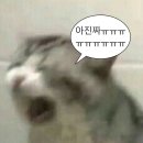 나령농장 | 여름 잘 가 가을 냄새 킁킁