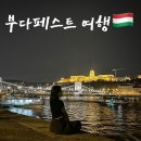 ENG SYSTEM | 부다페스트 헝가리 여행🇭🇺#1 | 대한항공 KE 961/공항에서 시내 가는 법/레텍 비스트로/파라노마 센트럴...