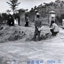 지정초등학교 이미지