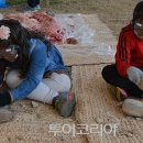 (주)여행아놀자