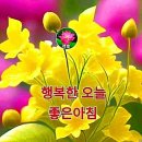 ♤개팔자 상팔자♧ 이미지