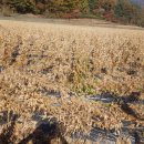 한상태농장 이미지