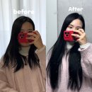 [광주 붙임머리] 신파람 붙임머리 / 상무지구 붙임머리 내돈내산 후기